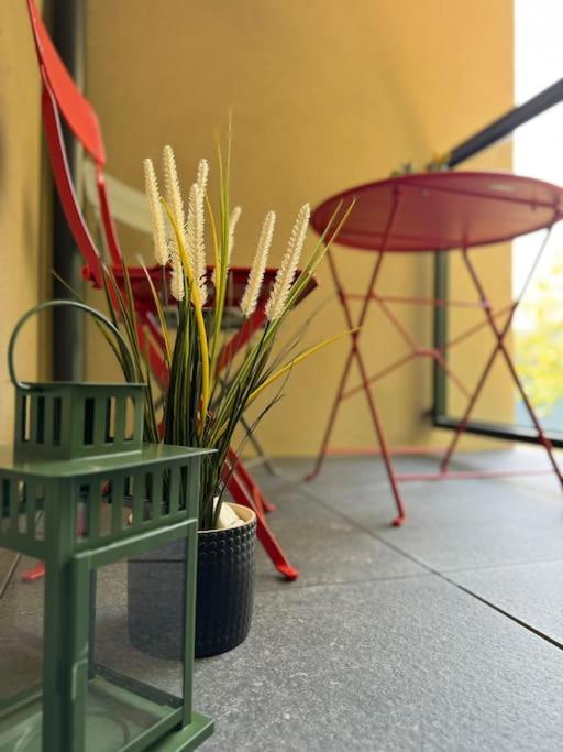 Art & High Studio Z Parkingiem Podziemnym Krynica-Zdrój Exterior foto
