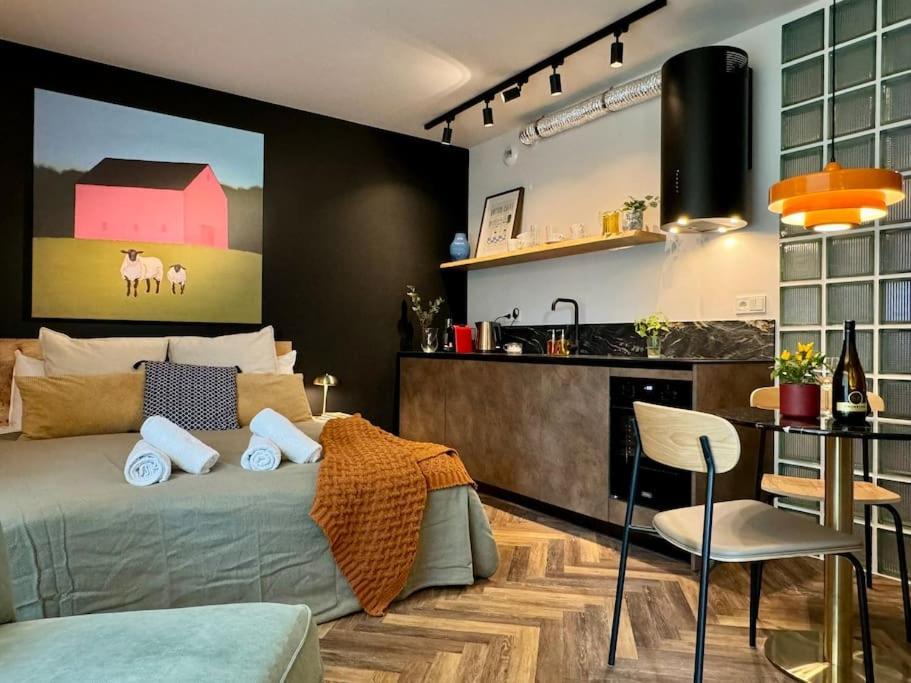 Art & High Studio Z Parkingiem Podziemnym Krynica-Zdrój Exterior foto
